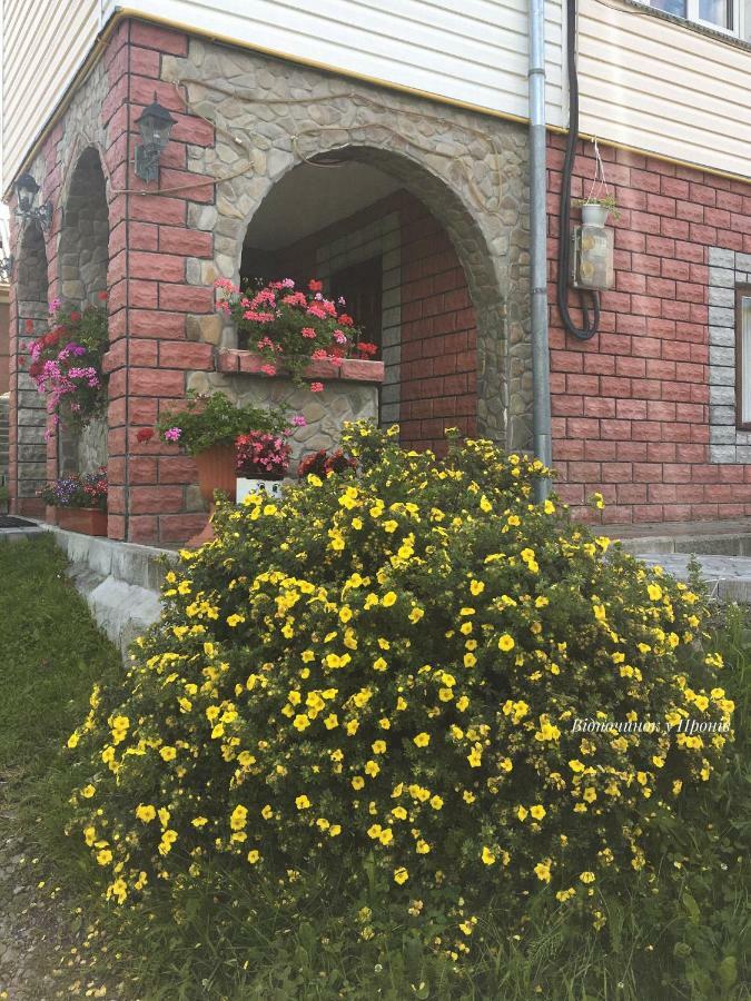 Відпочинок У Пронів Hotel Slavske Exterior foto